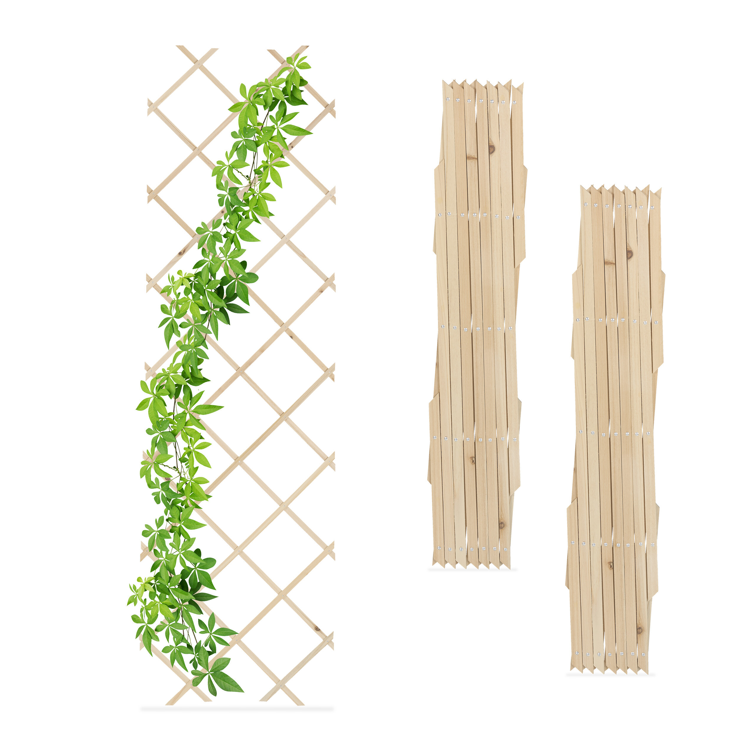 Rankgitters - (w)60 X (h)180 Cm