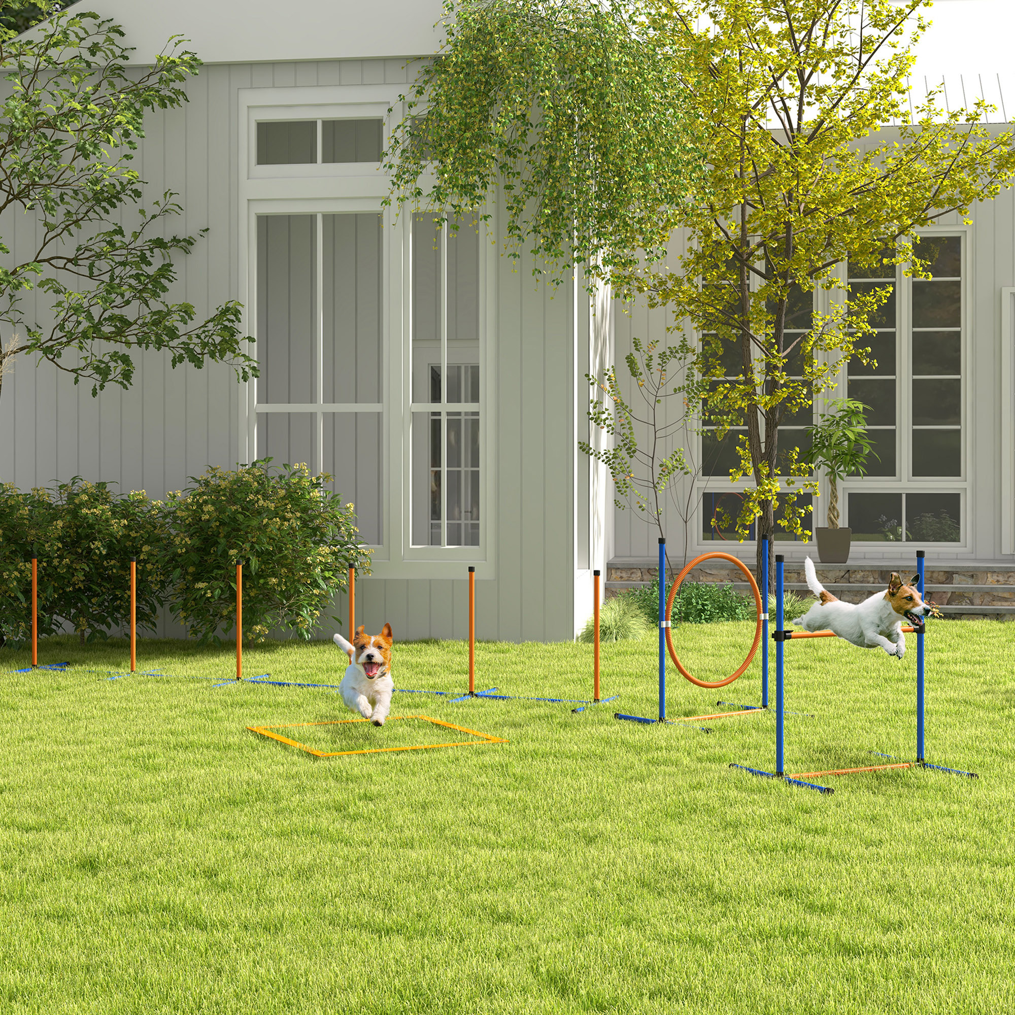 Agility Set For Dogs, 4-part Agility Equipment With Adjustable Agility Hurdles, Woven Poles, , Jump Ring, Carrying Bag Steeplechase Set For Dog Training, Training Set For Dogs