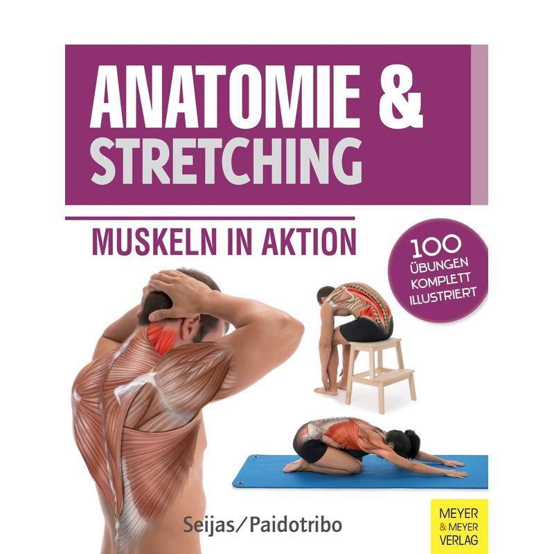 Image of Anatomy & Stretching (anatomy & Sports, Volume 2) - Paperback - Muscles In Action - Guilermo Seijas - 168 Pages - German - 2016 - Meyer + Meyer Fachverlag - Ean 9783898999878