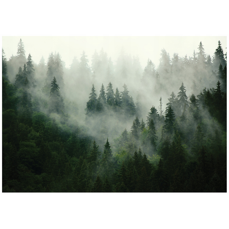 Forest In The Mist Trees Green Wallpaper On Non-woven Fabric For Bedroom Living Room Wall Decoration 13026vx