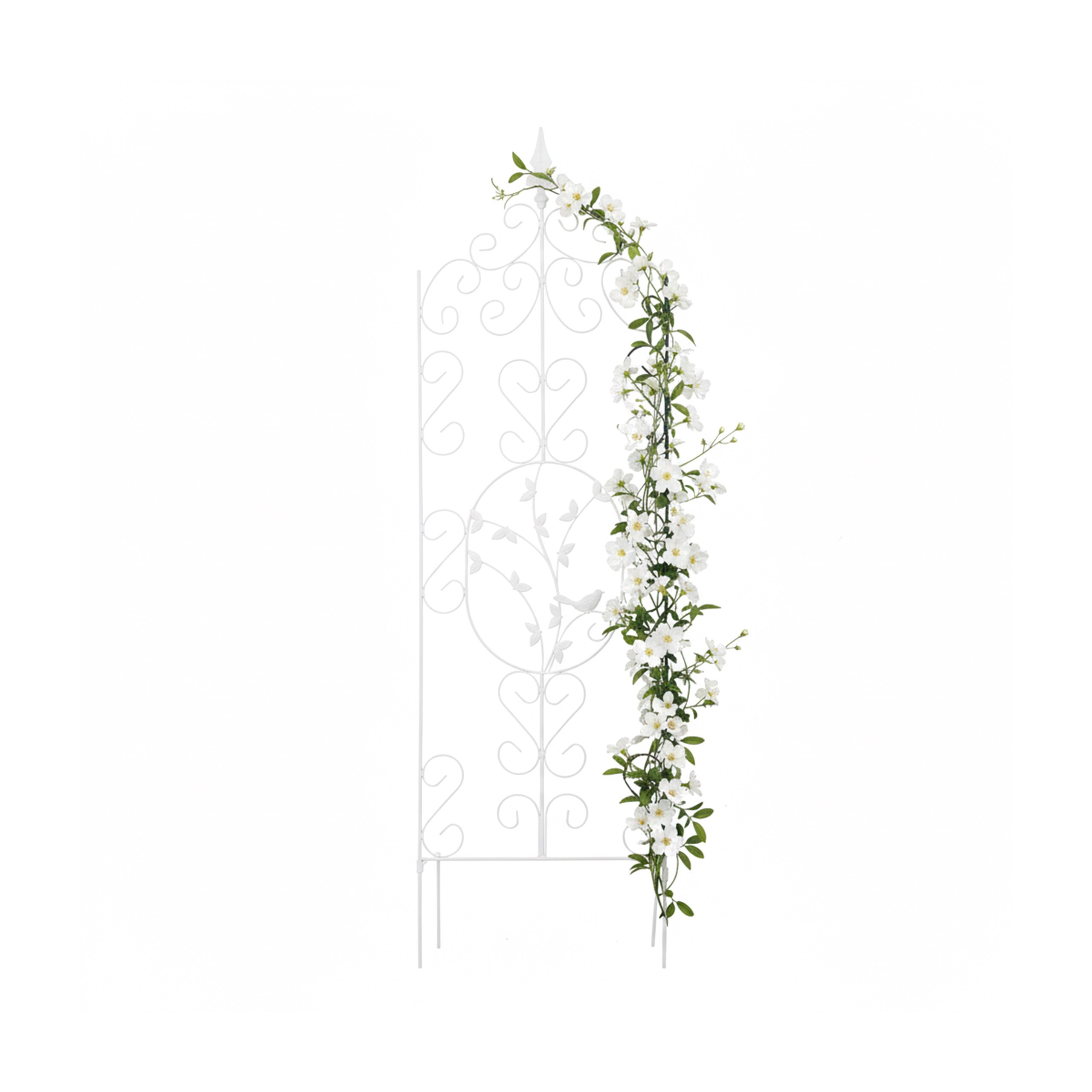 White Ladder - (w)35 X (h)116 Cm