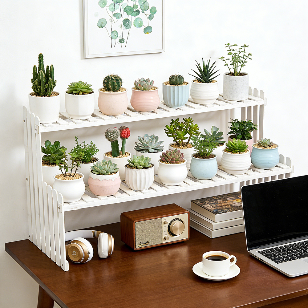 TEMU 2 Tier Table Top Plant Stand Desktop Flower Stand Bamboo Flower Pot Holder Desktop Planter Shelf Ladder Rack For Indoor Outdoor Patio Balcony