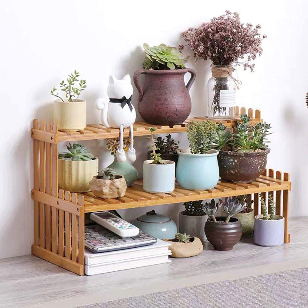2-Layer Mini Wooden Plant Rack for Display