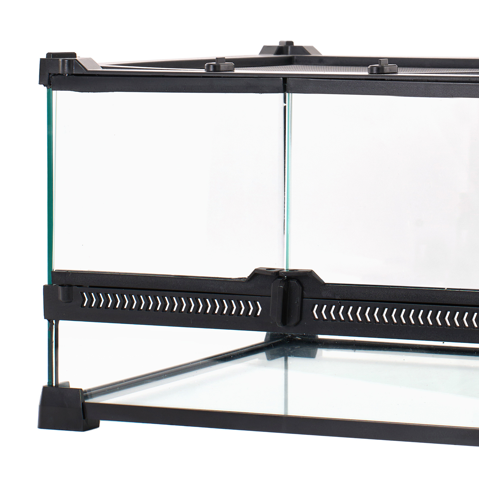 Desktop Rainforest Vivarium for Reptiles and Indoor Decor