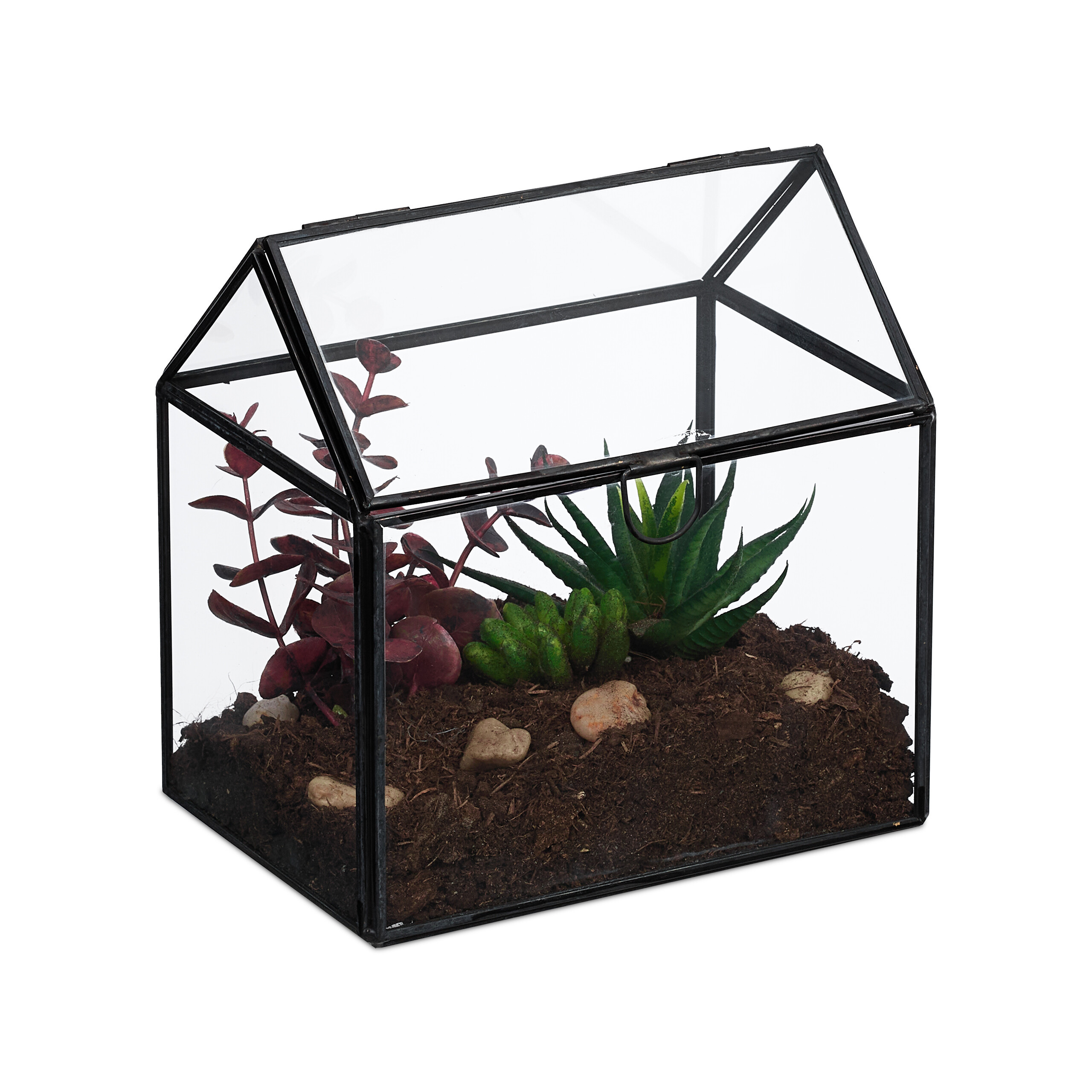 Plant Terrarium "house" In Black - (w)16 X (h)16 X (d)11.5 Cm