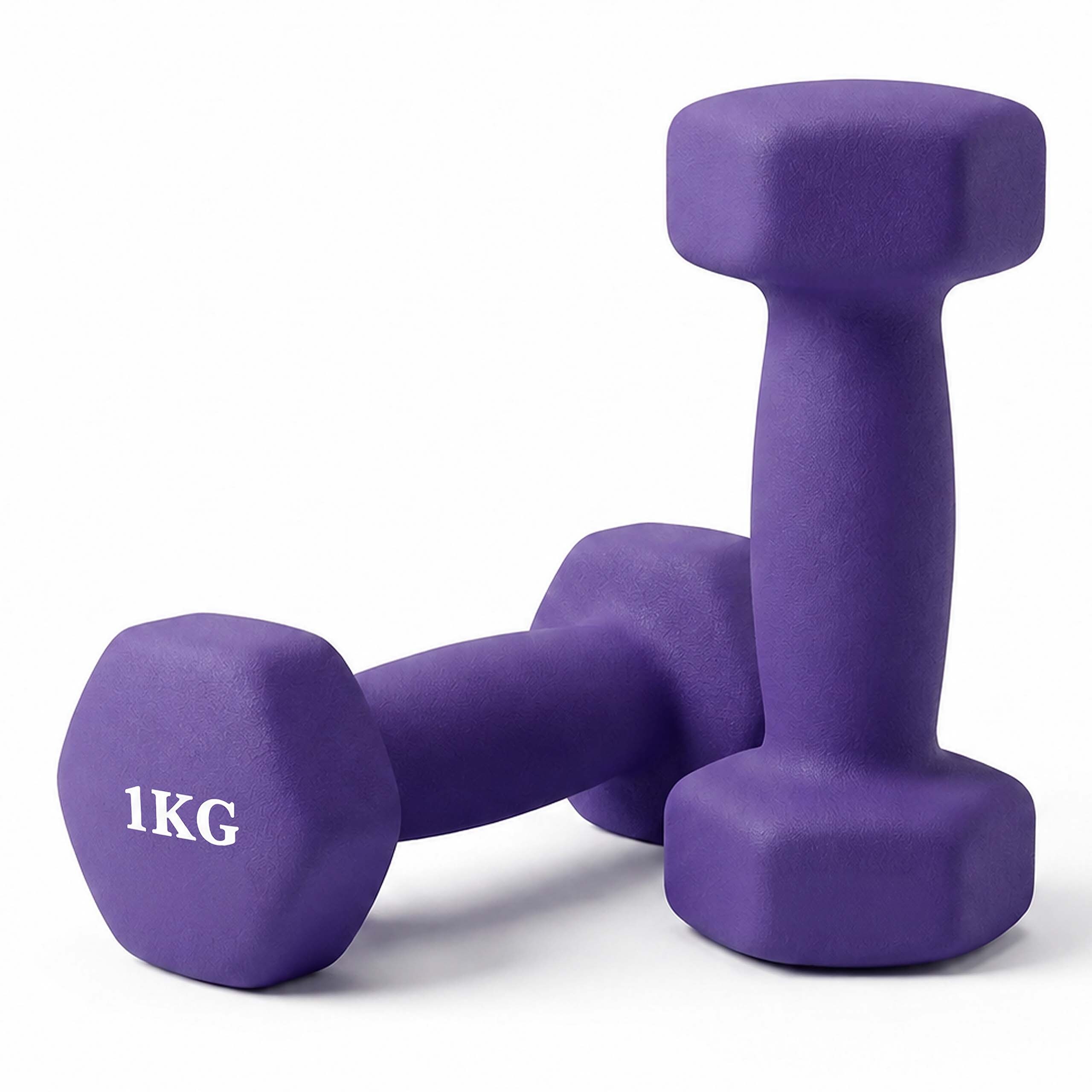 2 X Dumbbells In Purple - 1 Kg