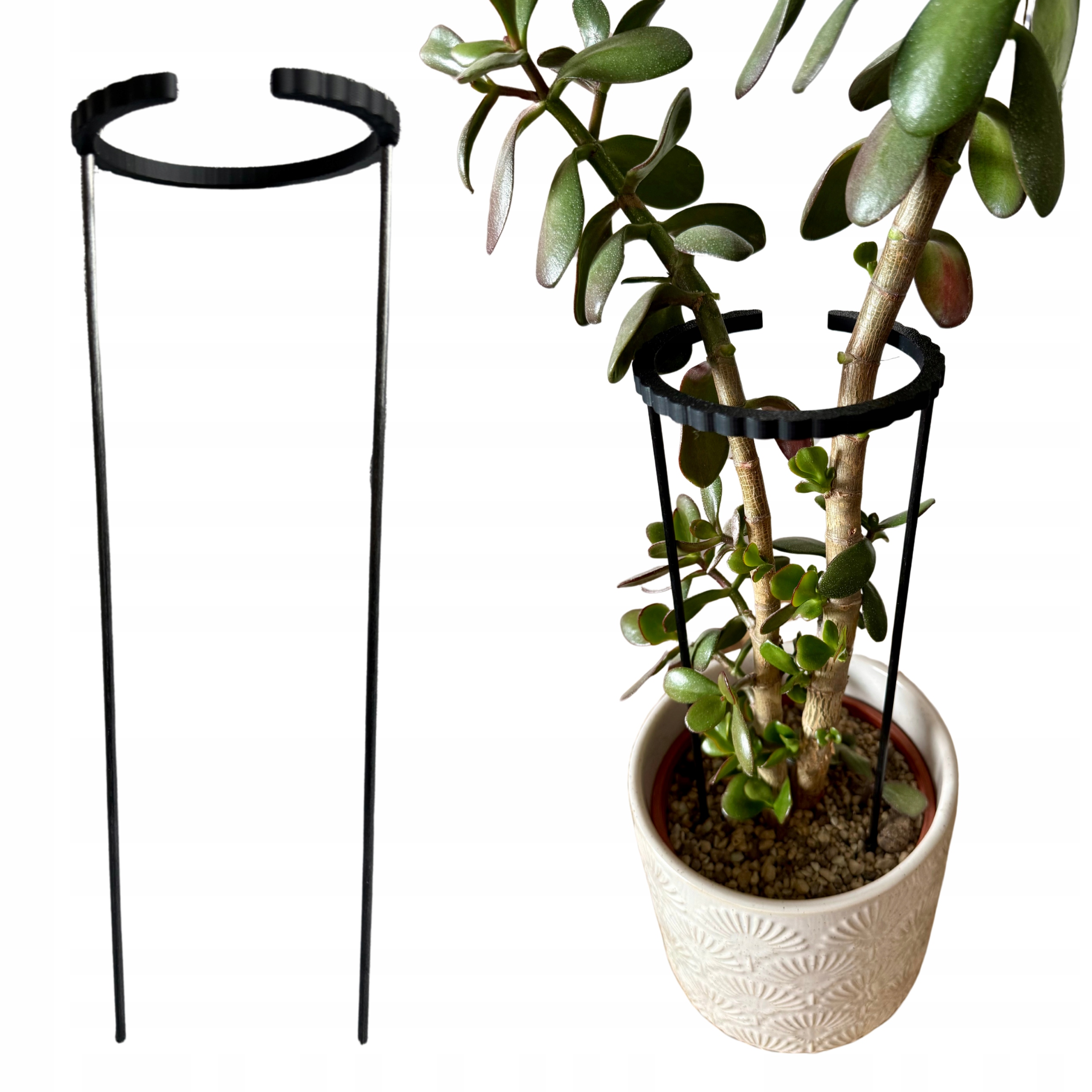 Plant Support For Potted Plants Ring Sm 60 Cm, Ring 10 Cm, Black, Pla Ring Bracket With Fiberglass Rods, 3d Support For Indoor Flowers, 1 Pc