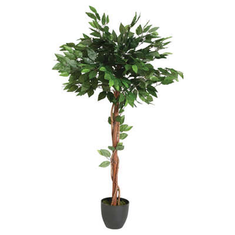 Cuadros Factory - Artificial 120cm | Decorative Realistic High Quality