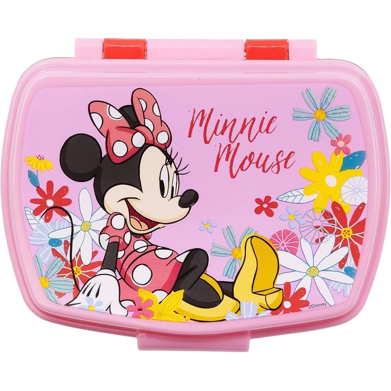TEMU Contenitore Portapranzo Porta merenda Scatola Sandwich Box per Bambini -