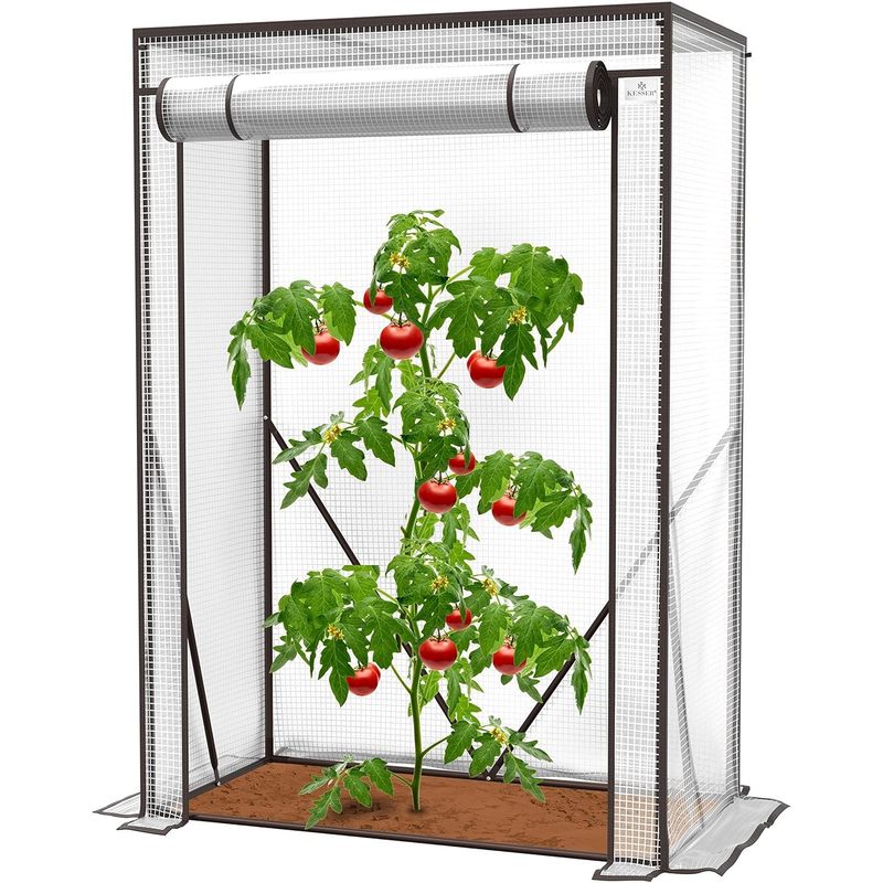 TEMU Reinforced Greenhouse Tunnel Film Tent For Tomatoes And Vegetables