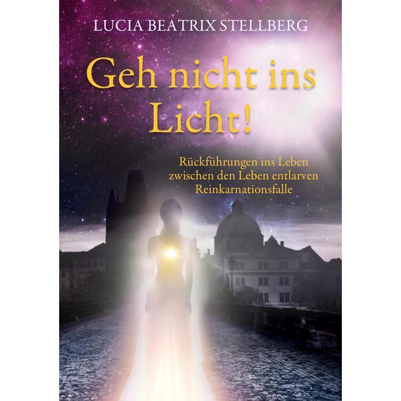 Image of Don't Go Into The Light - Paperback - Past Life Regressions Expose The Reincarnation Trap - Lucia Beatrix Stellberg - 328 Pages - German - 2025 - Bod Books On Demand - Ean 9783758322976