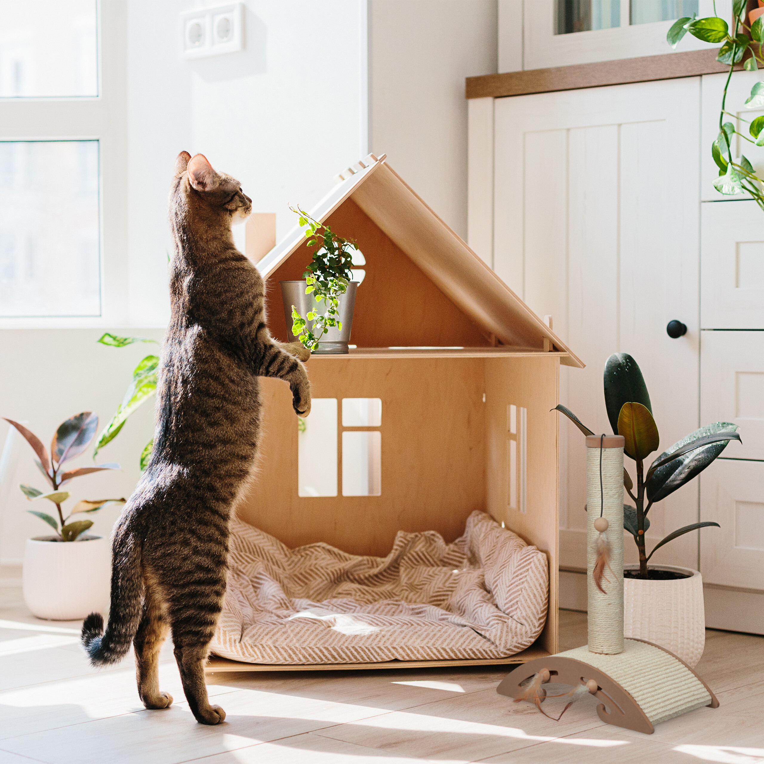 Brown Scratching Post 42x52x22 cm for Indoor Cats