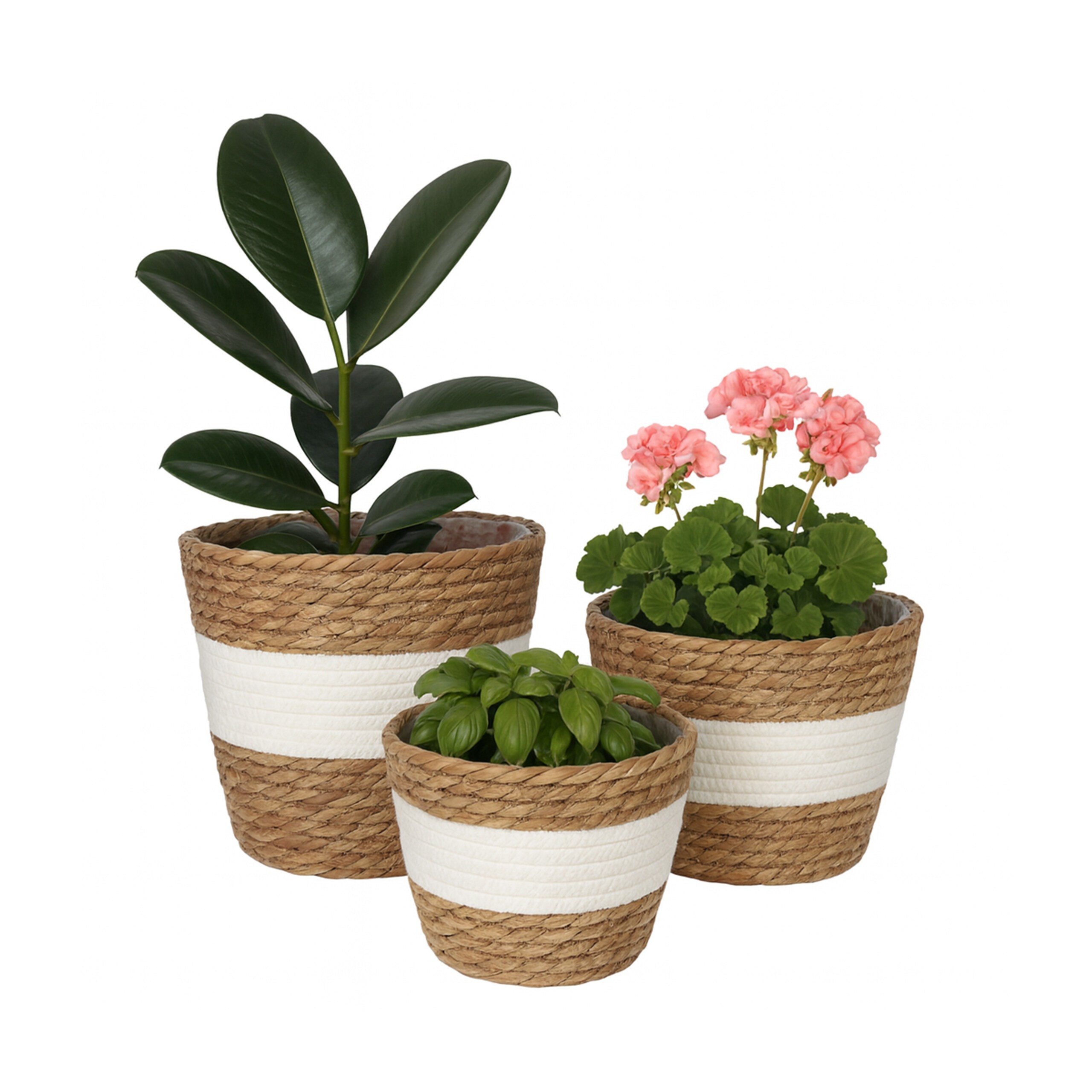 3 X Flower Pots In White/brown