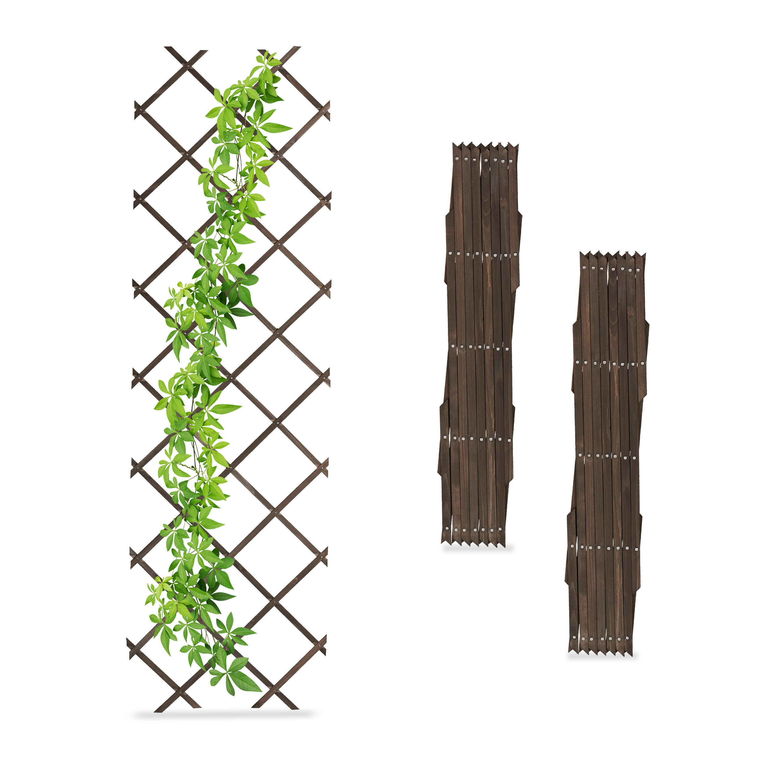 3 Brown Rankgitters - (w)60 X (h)180 Cm