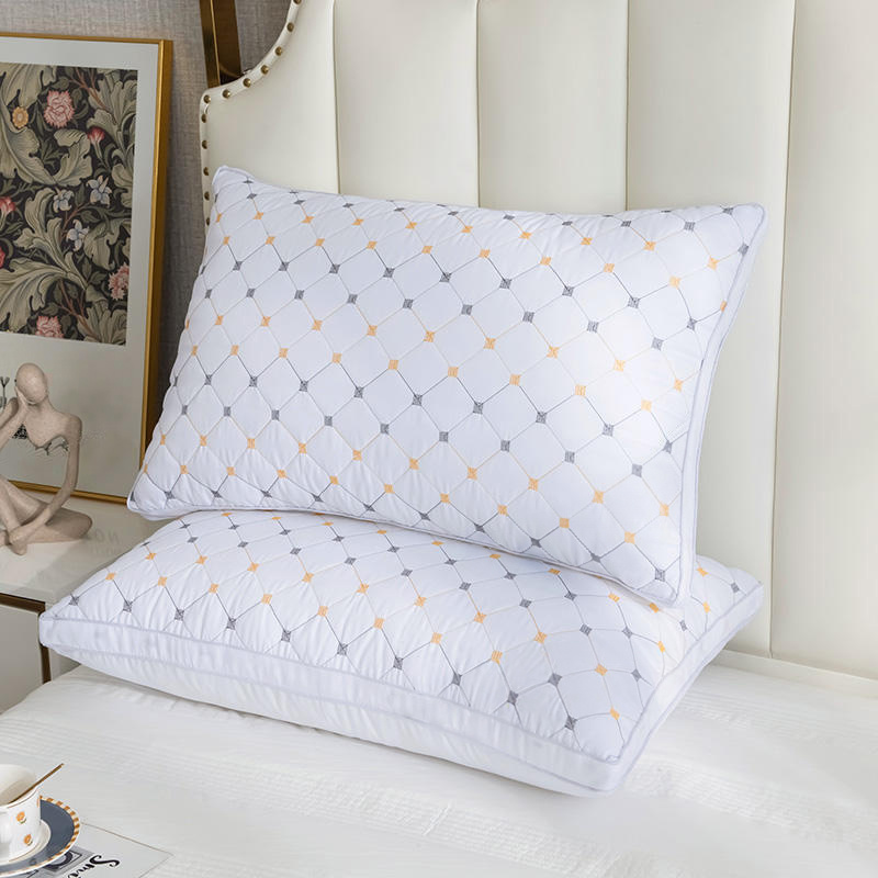 2-Pack Hotel Quality White Double-Border Pillow Insert (74x48cm) | 1000g Premium Polyester Fill for Luxurious Bed Decor, Starry Embroidered Pattern, Zips Closure, Comfortable & Breathable Home Sleep Pillows for Side/Back/Stomach Sleeper, 74*48cm