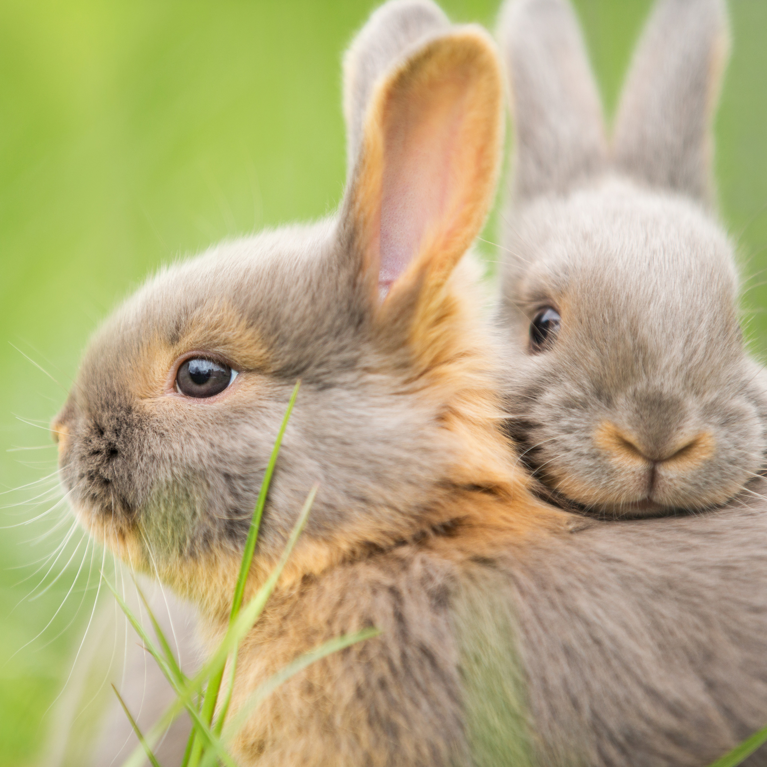 A5eb39e2 Af1d 4cdb B374 F31bed947d5a