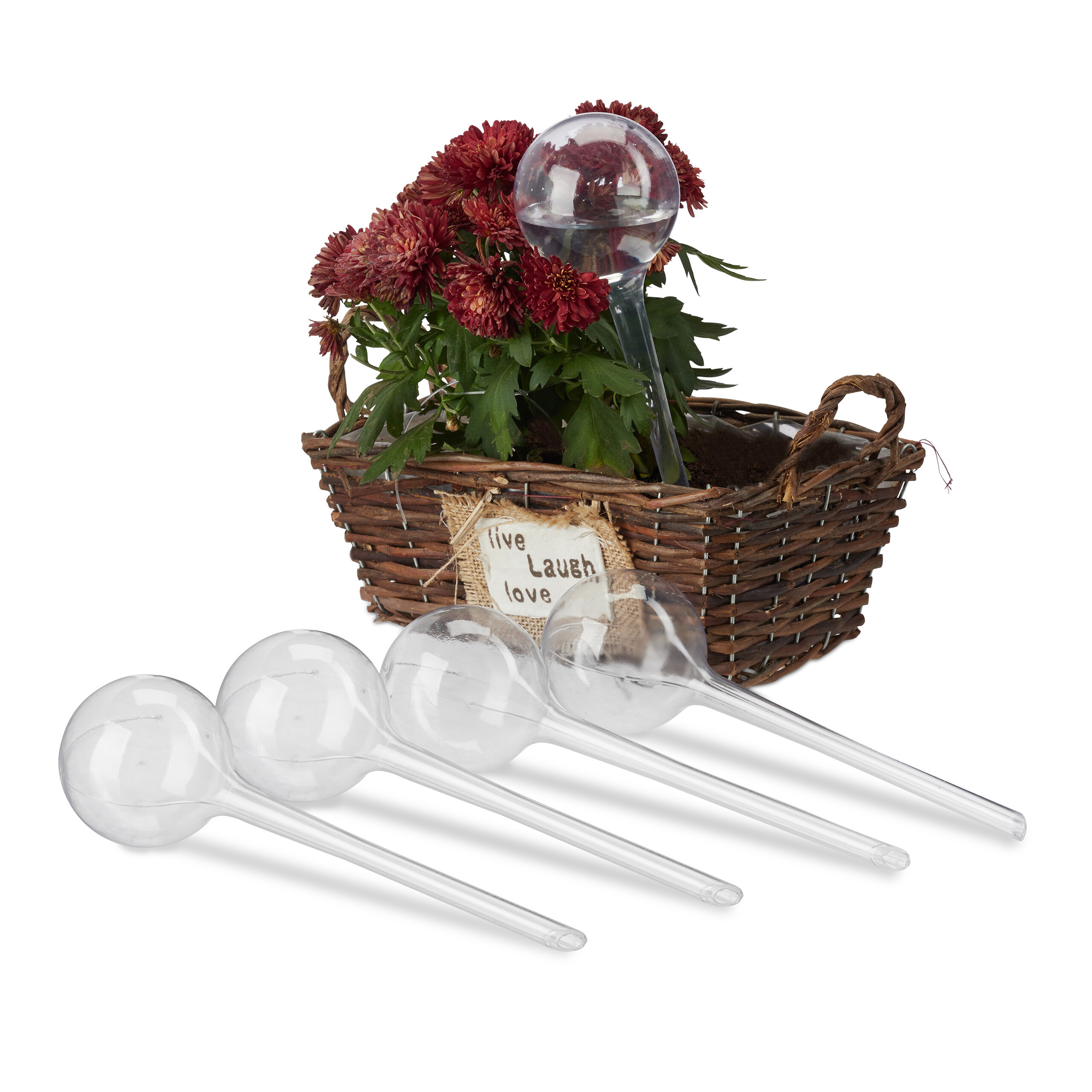 5-pack Transparent Watering Globes