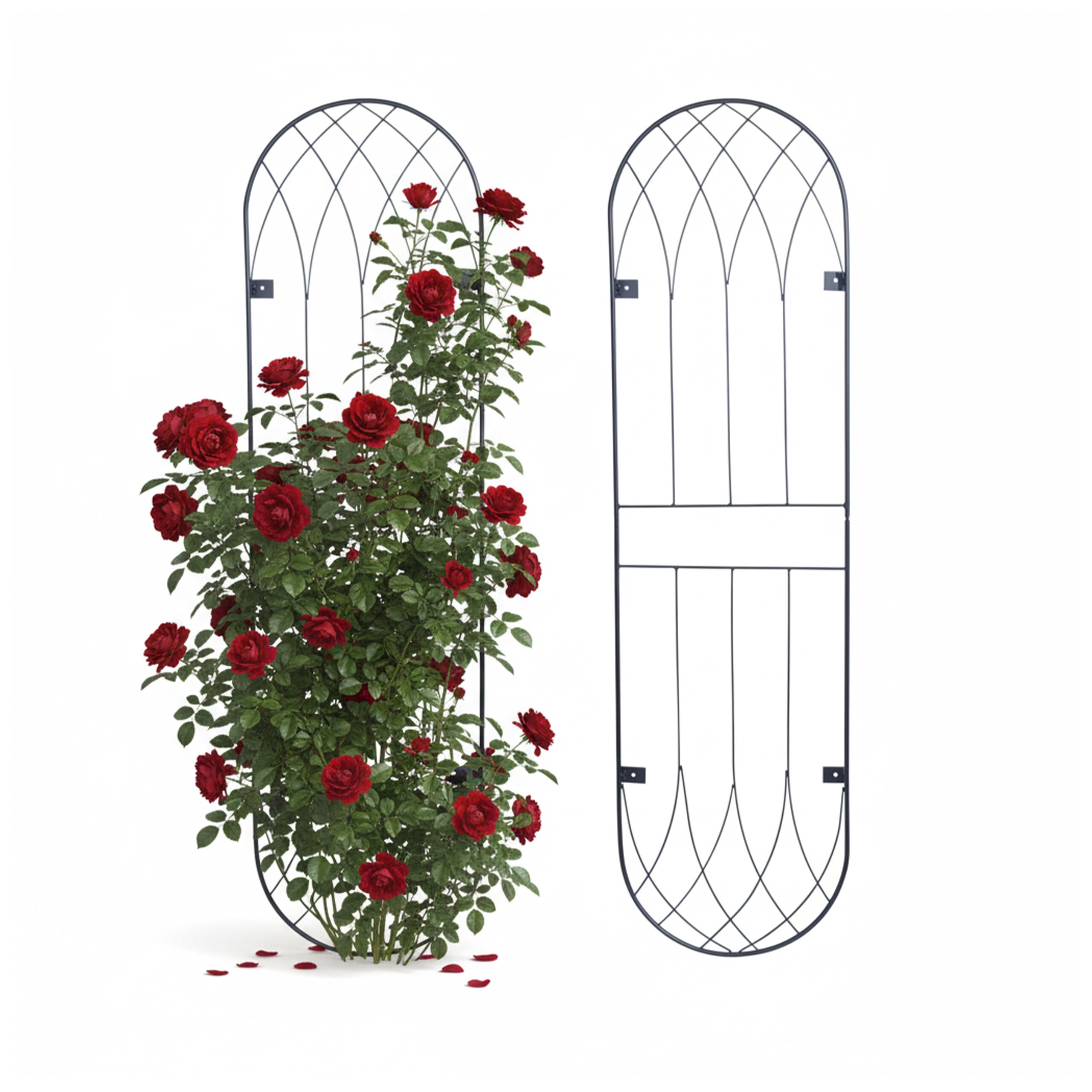 2 X Rankgitter "dom" In Black - (b)38 X (h)140 Cm