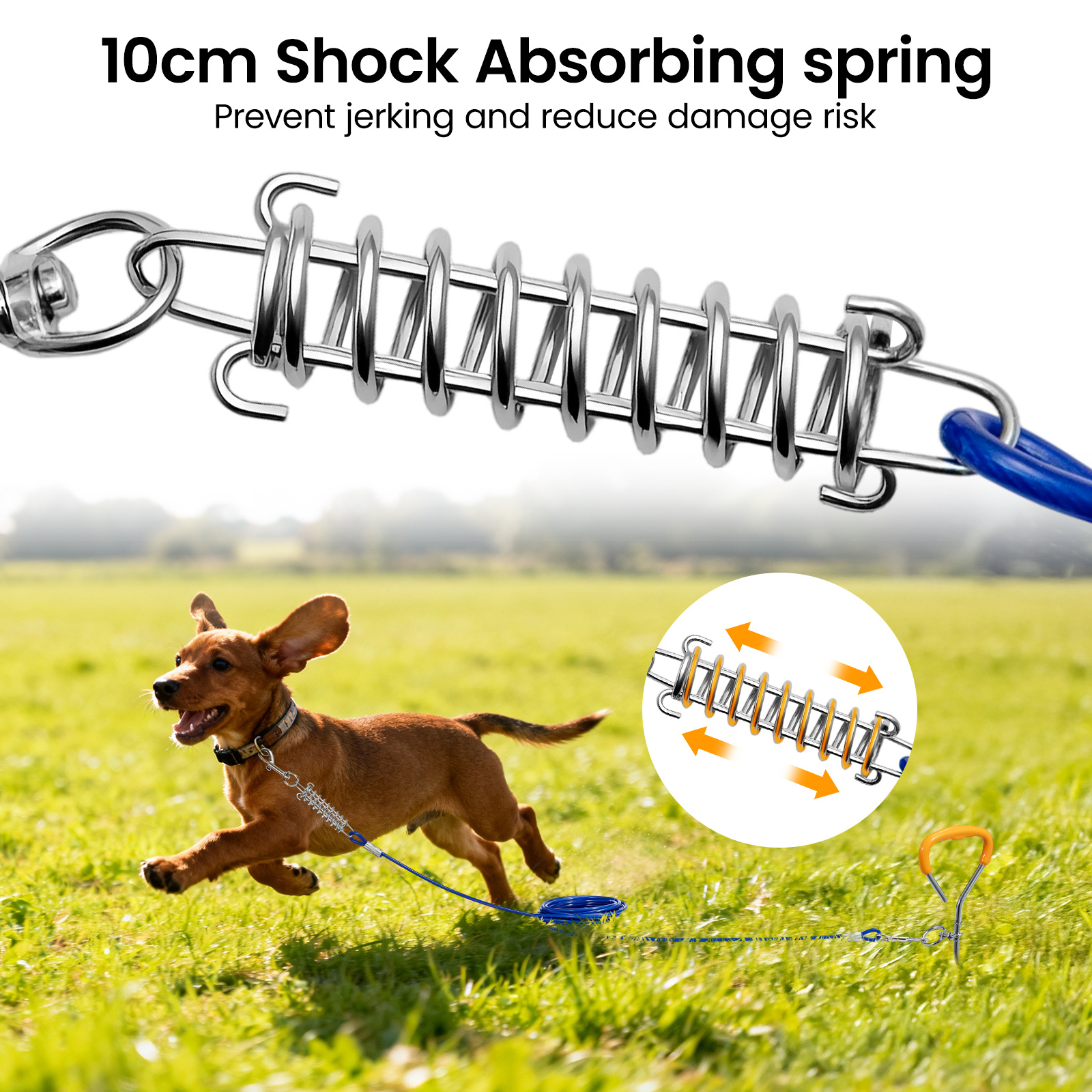 Dog Tie Out Cable and Stake, 10M/6M/3M Pet Tether Training Line