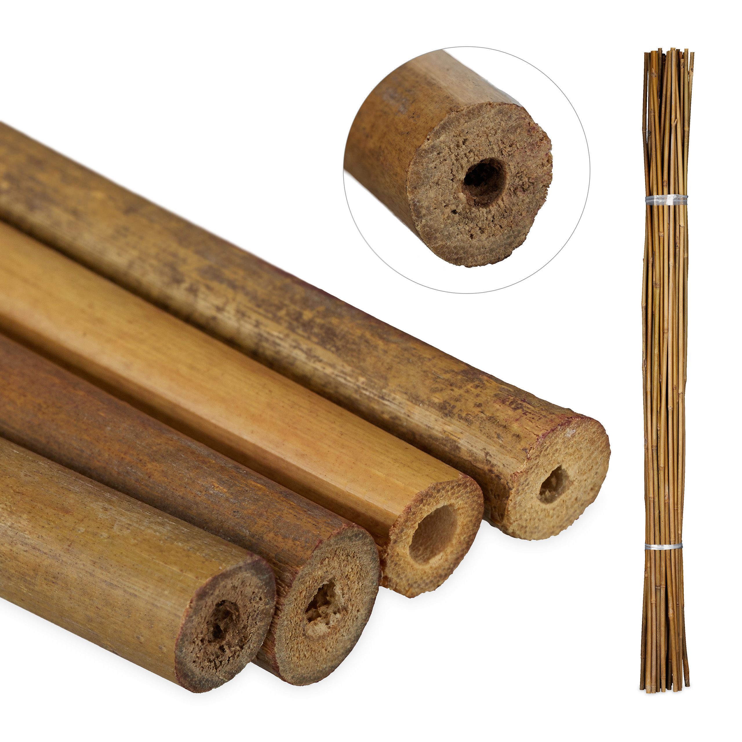 E-shop 40 x Pflanzstäbe in Natur - 120 cm