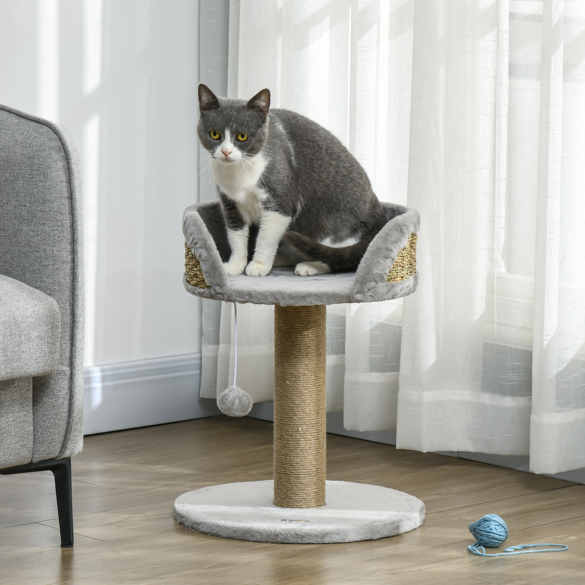 Image of Small Scratching Tree, 49 Cm Cat Tree, Cat Scratching Tree With Play Ball, Lying Area, Climbing Tree For Cats Up To 4 Kg, Cat Furniture, Jute Gray