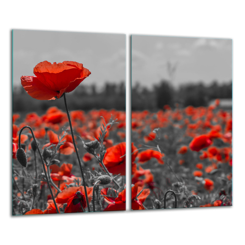 TEMU PLAQUE DE VERRE POUR DÉCOUPE 2X 30X52 FLEURS