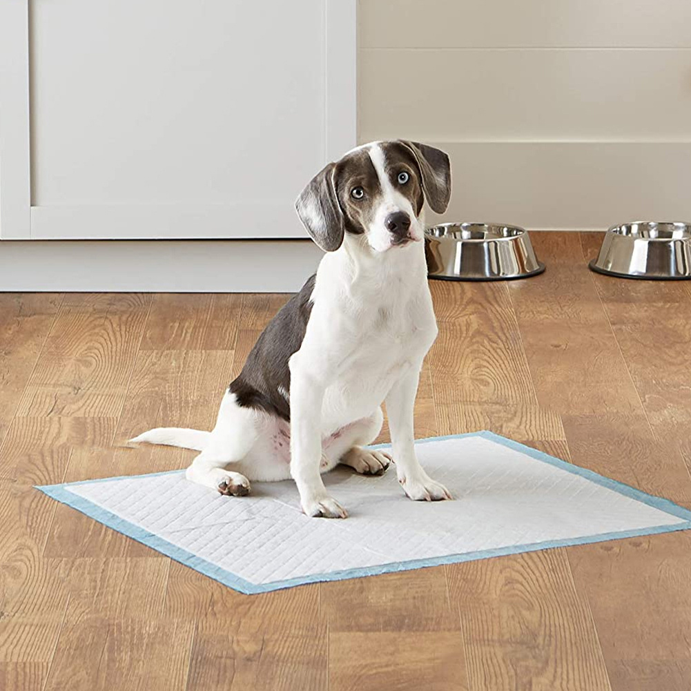 TEMU Puppy Pee Pads 50 Pack Disposable Pet Piddle Pad And Potty Pads For Dogs Training Puppy Pee Pads Leak-proof Design Pack Of 40 L-size 60x60cm