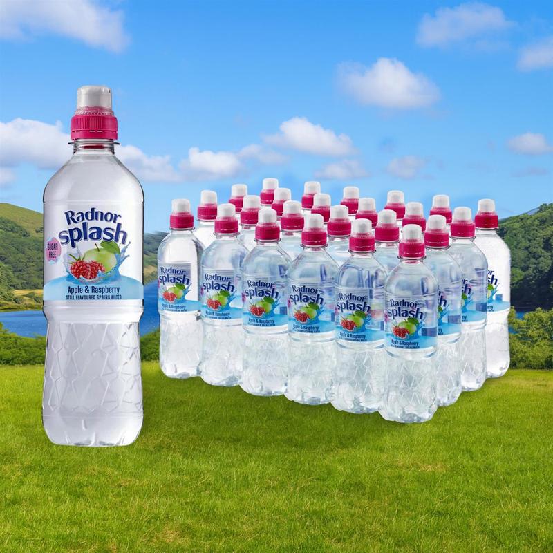TEMU Radnor Splash & Raspberry Still Flavoured Spring Water – 24 X 500ml – Sugar-free, Low-calorie, Natural Flavourings