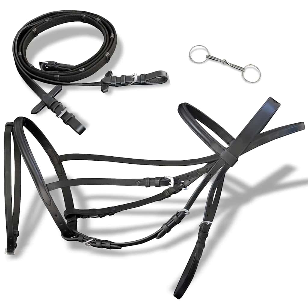 Image of Horse Leather With Bit Gag Bit Cob Vb