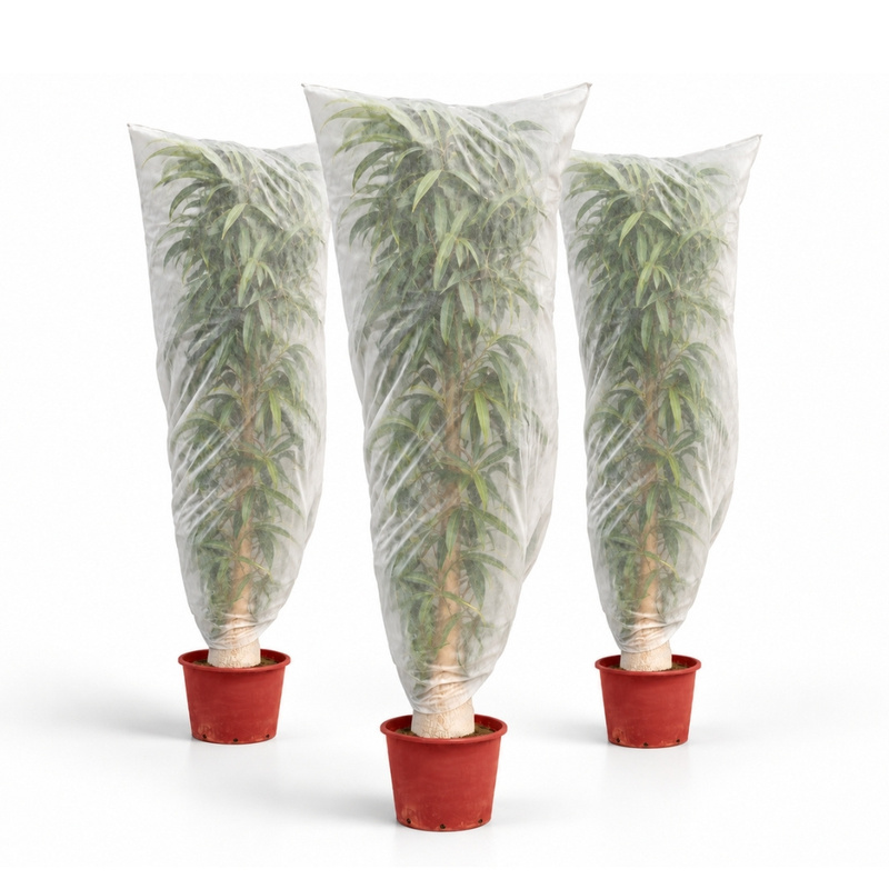 TEMU Housse d' pour plantes et arbustes - 2 x 2,5 m - lot de 3 - Protection contre le gel - Polypropylène respirant /m² - Blanc - JARDIN