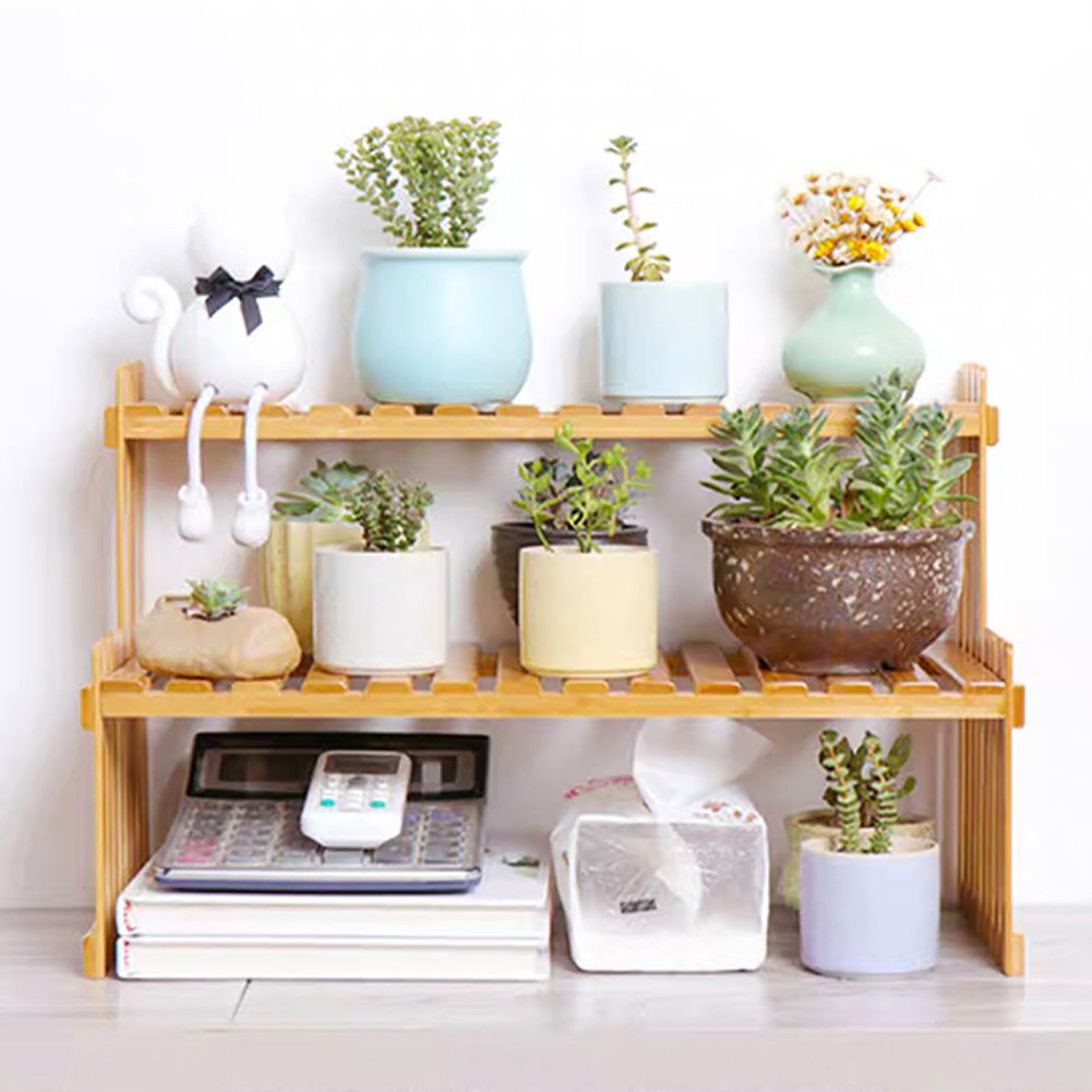 2-Layer Mini Wooden Plant Rack for Display