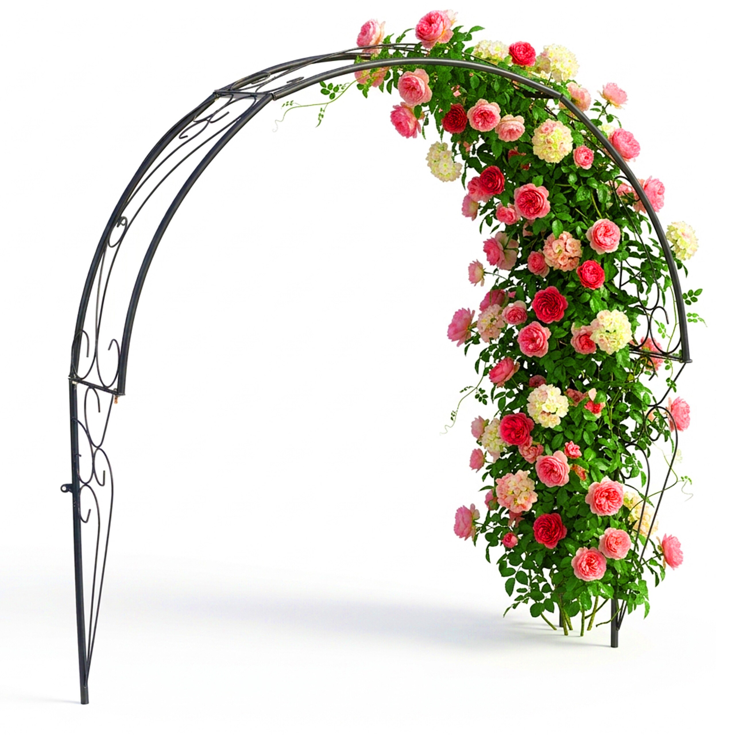 TEMU Semicircular Rose Arch, Powder-coated Steel, 105 X 100 X 21 Cm, Black, With Wall Mounting Hardware, For Garden, Windows, And Doors, Trellis,