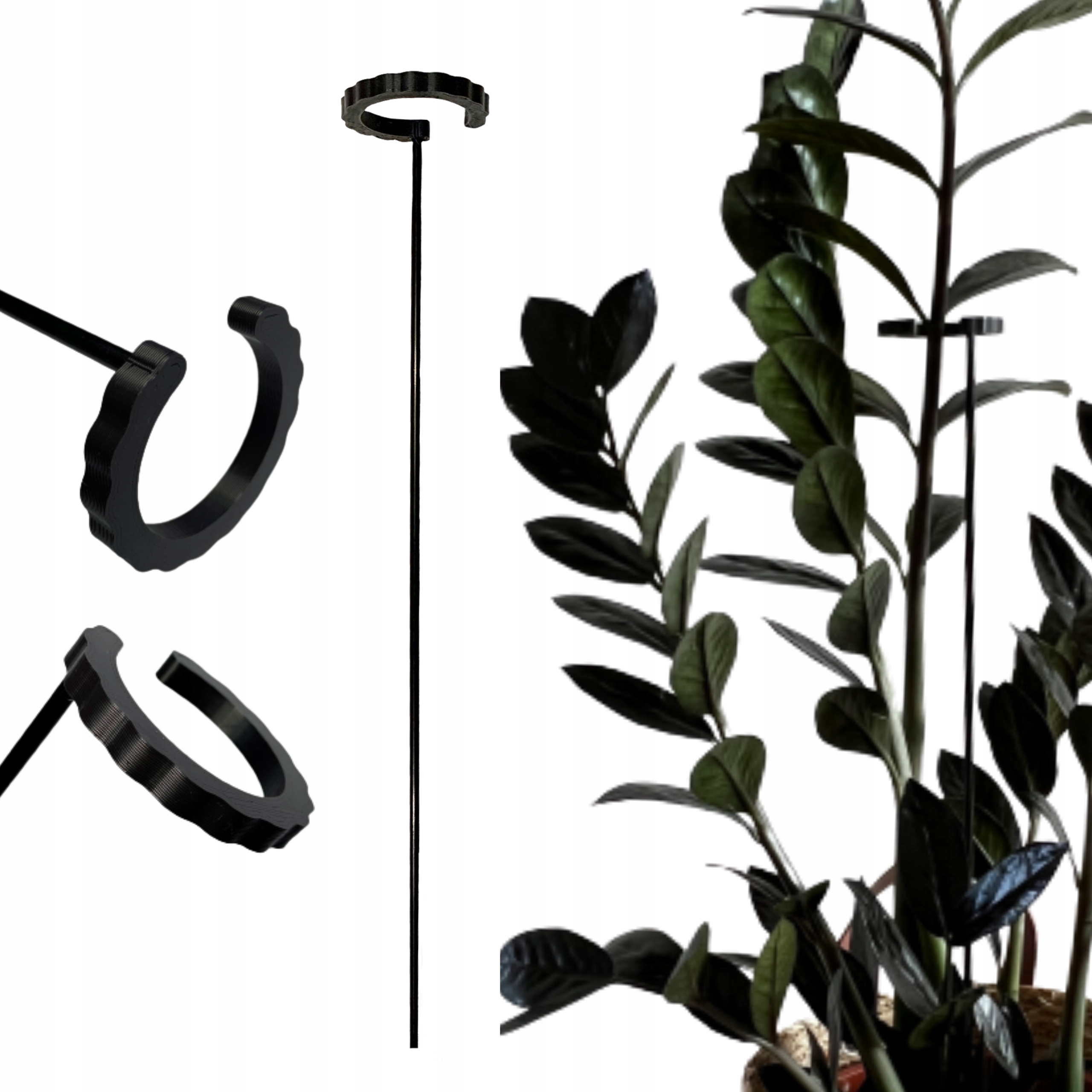 Image of Ring S Plant × 5 Cm, Black Hoop On A Rod For Potted Flowers, Support For , , Dracaena, Monstera, Orchid, And Zamioculcas, 1 Pc