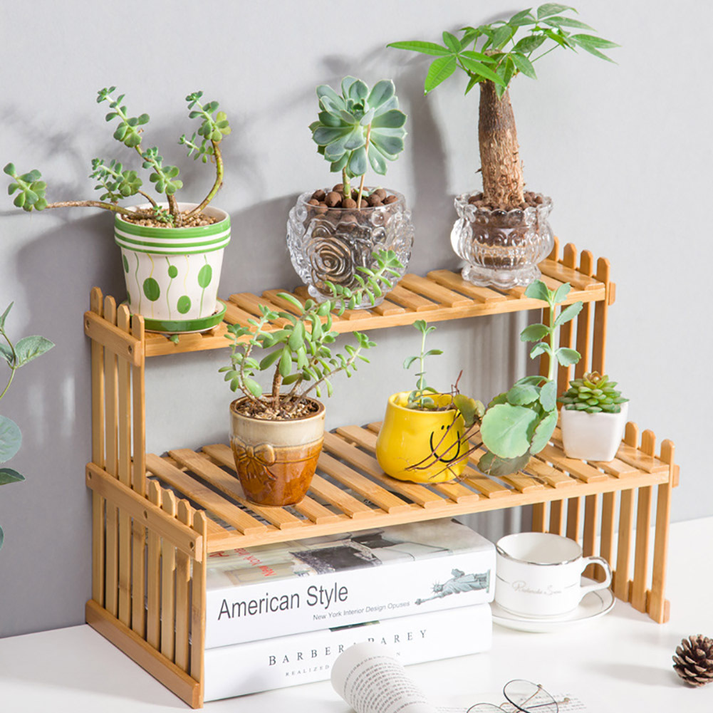 2-Layer Mini Wooden Plant Rack for Display