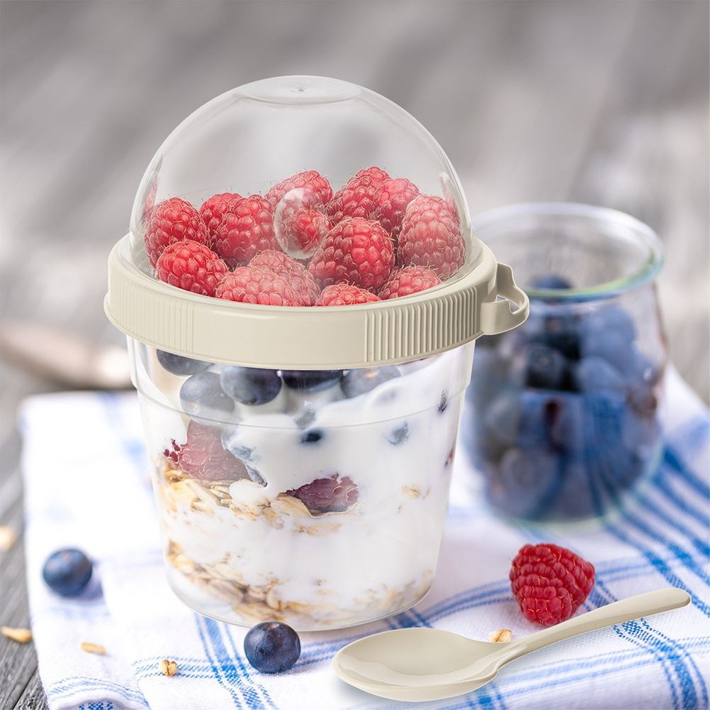 TEMU Yogurt Cup Container With A Spoon Lunchbox 400 Ml
