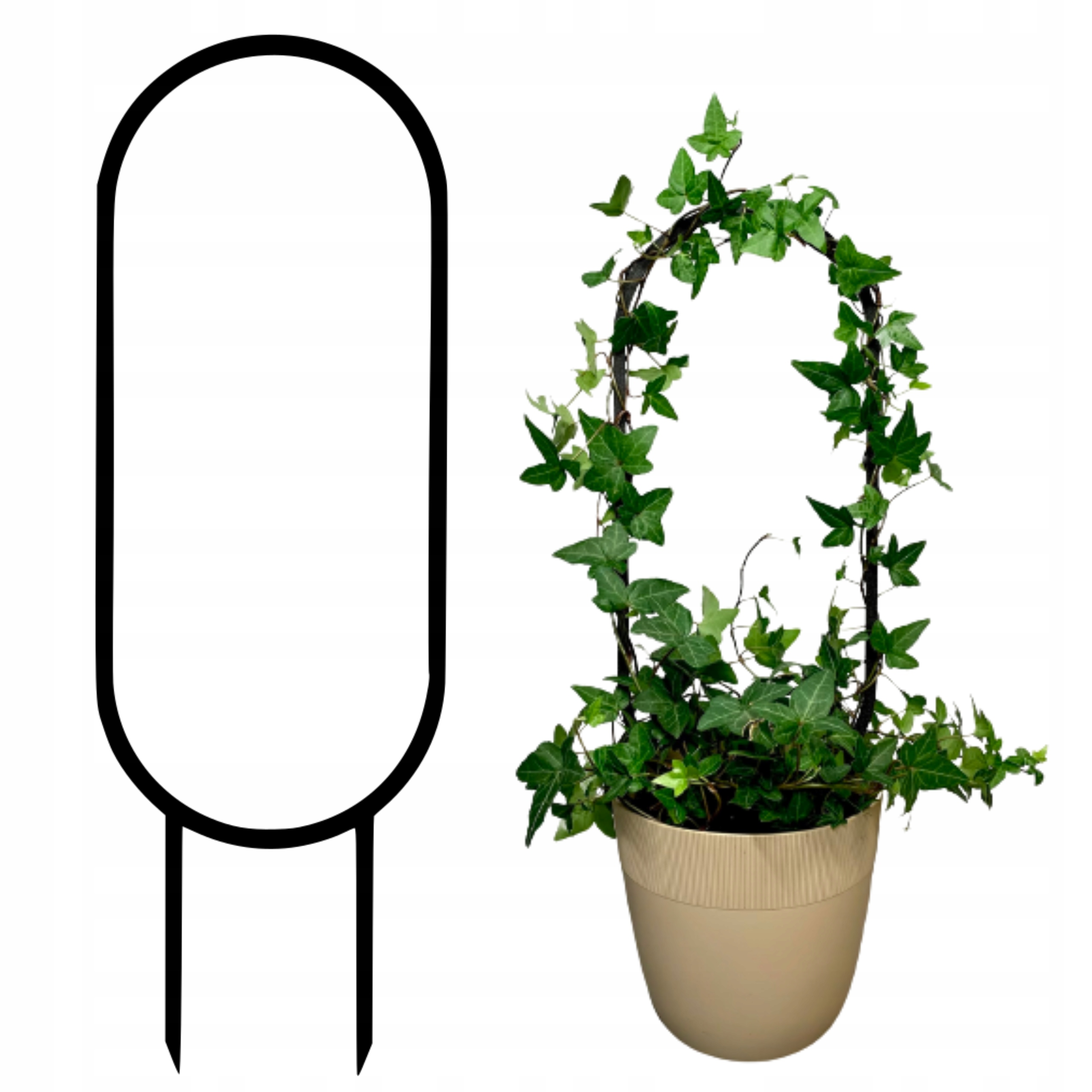 Image of Support For Climbing Plants M 1pc With Pla, Black Lattice 31 Cm For Pots, Support For Monstera, Support For Philodendron, Support For Epipremnum, Scindapsus And Ivy, For Home Stems And Shoots.
