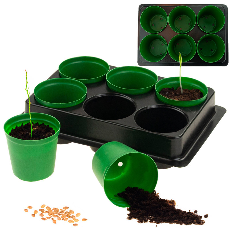 Image of Production Pots For Sowing Seedlings 6pcs + Palette