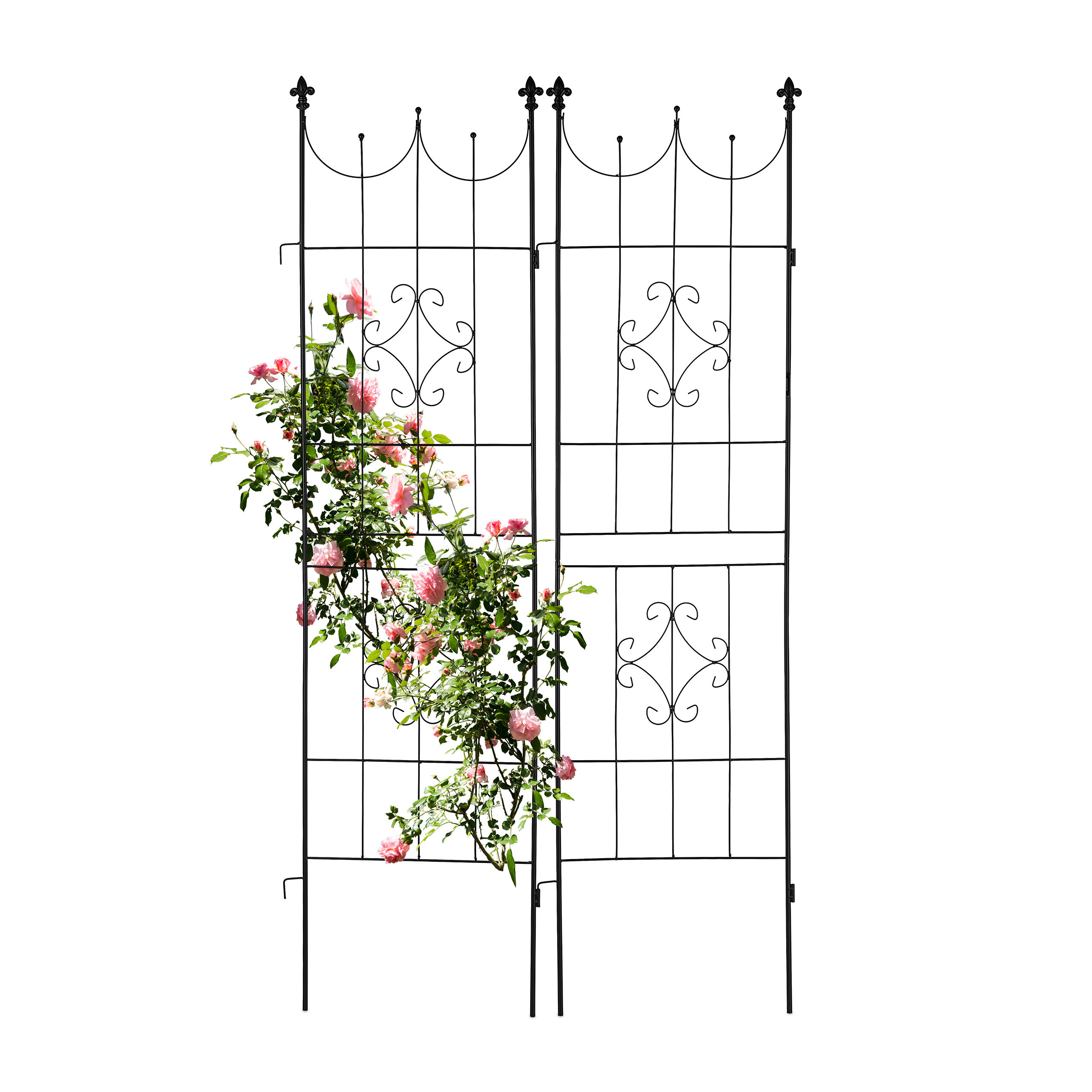 2 X Black Trellis - (w)46 X (h)183 Cm