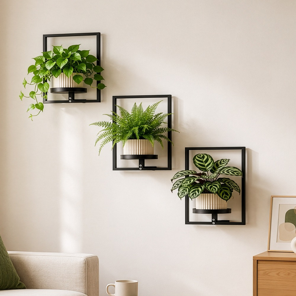 TEMU 3pcs Wall Mounted Plant Shelves, Black Metal Floating Plant Stand Set For Indoor Plants And Flower Pots, Decorative Wall Display Rack For Living