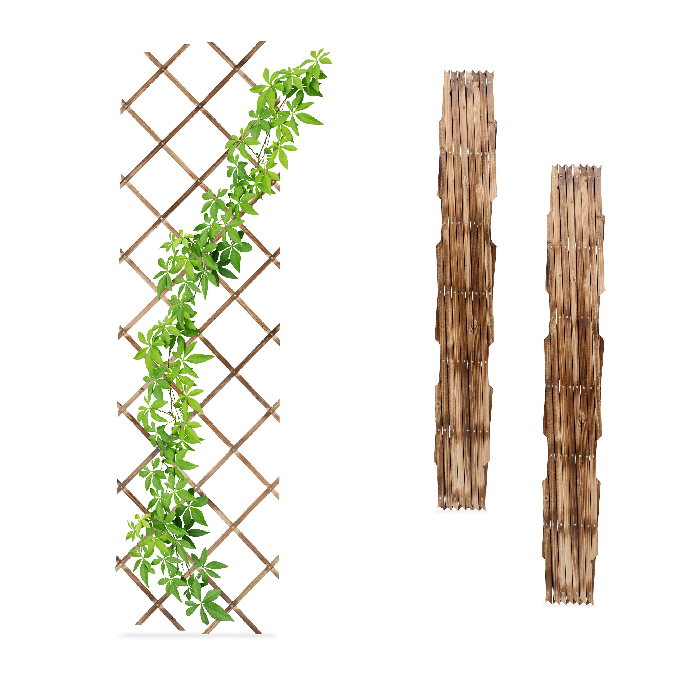 E-shop 3 x Rankgitter in Geflammt - (B)60 x (H)180 cm