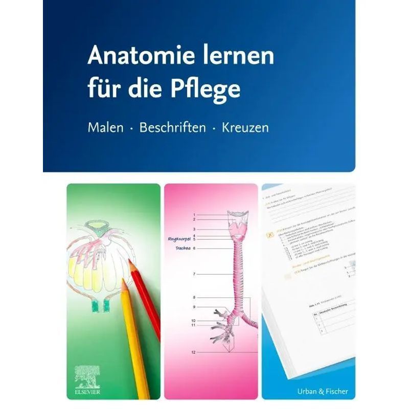 Image of Learning Anatomy For Nursing - Paperback - Drawing, Labeling, Crossing - Elsevier Gmbh - Spiral Binding - Vi - German - 2025 - Urban & Fischer/elsevier - Ean 9783437251634