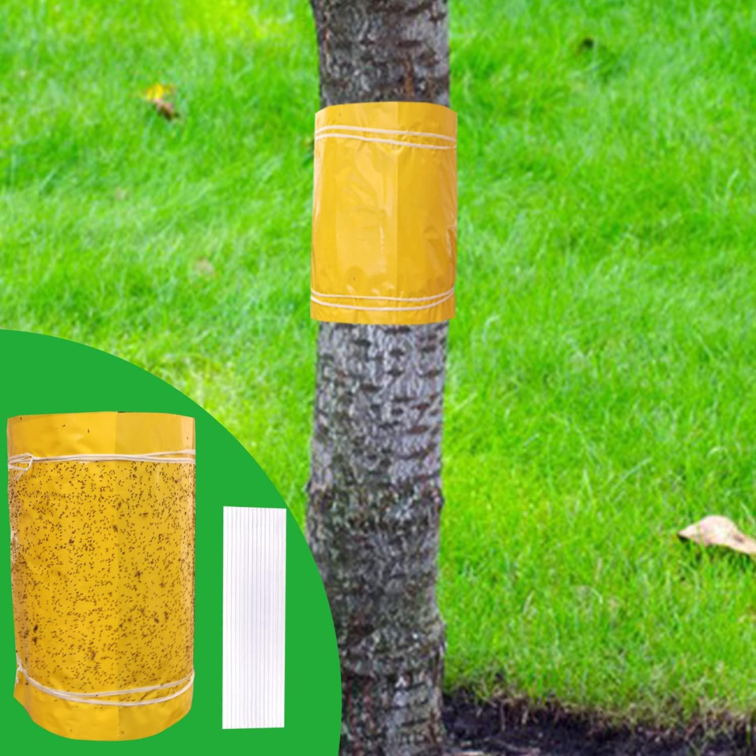 1 Piece Adhesive Tape Ring, 25 Cm × 10 M, Yellow Tree Glue Ring For Fruit Trees, Ant And Garden Protection, For Cherry, , And Plum Trees