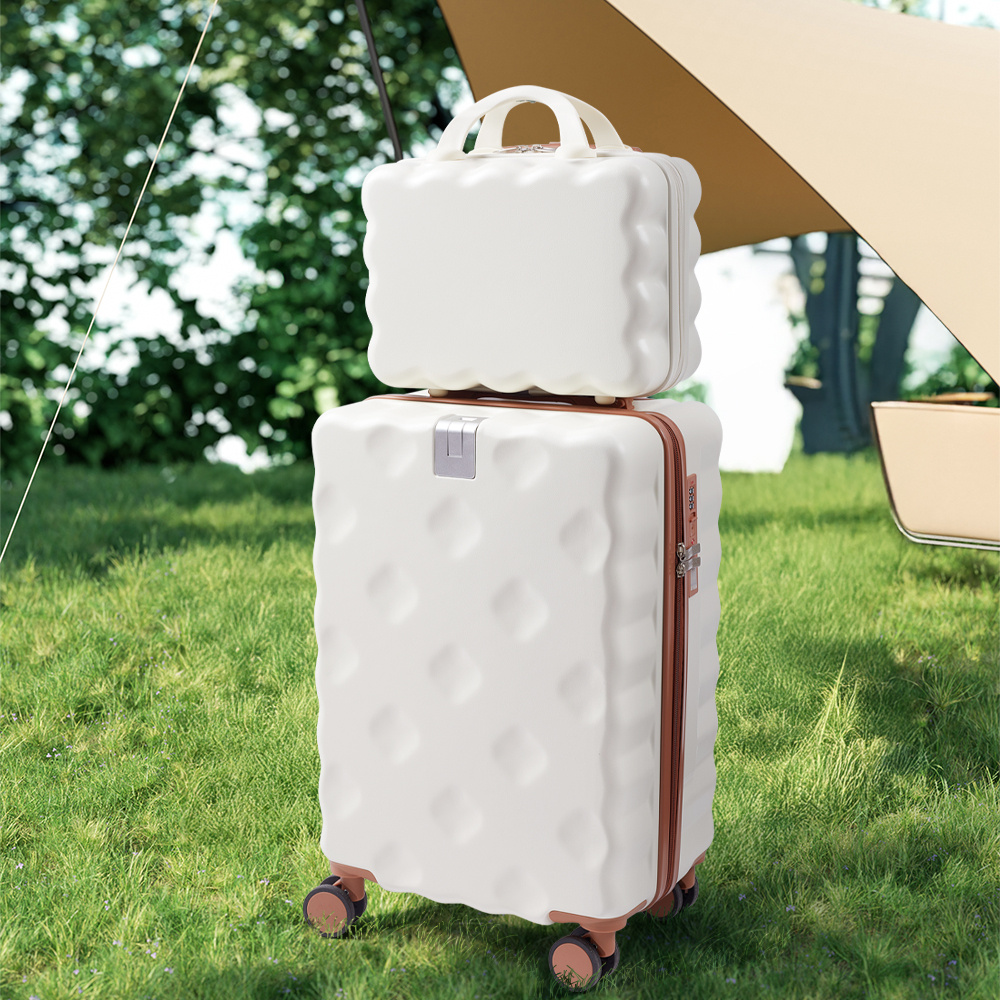 Hard Shell 2-Piece Luggage Set with TSA Lock