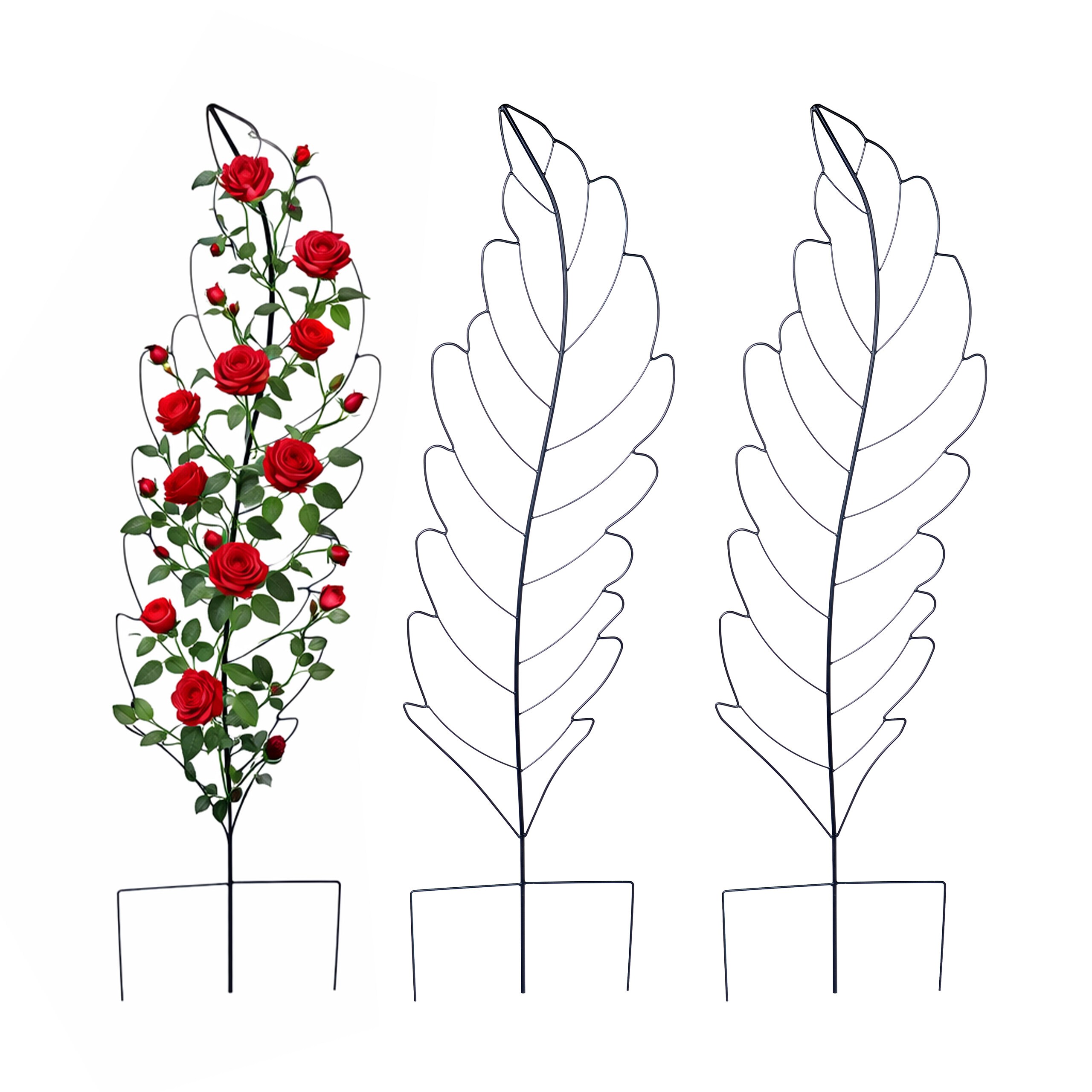 3 X Leaf-shaped In Black - (w)40 X (h)150 Cm