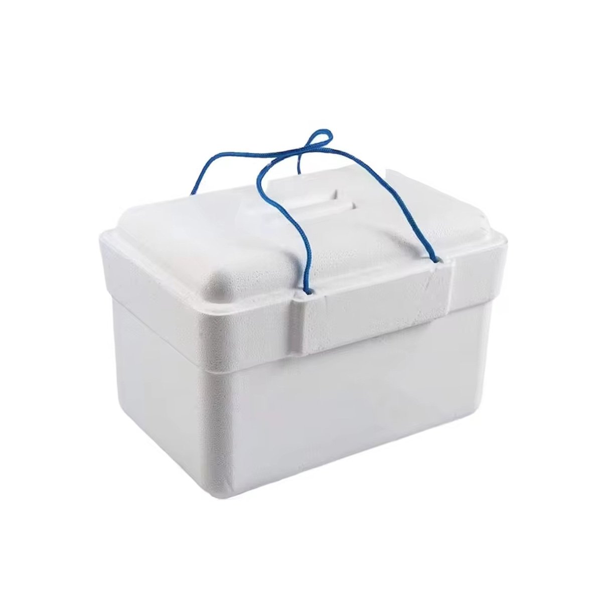 TEMU Nevera ® de Espuma de Poliestireno – 13 Litros, y Portátil, Ideal para Playa, Camping y Pícnic