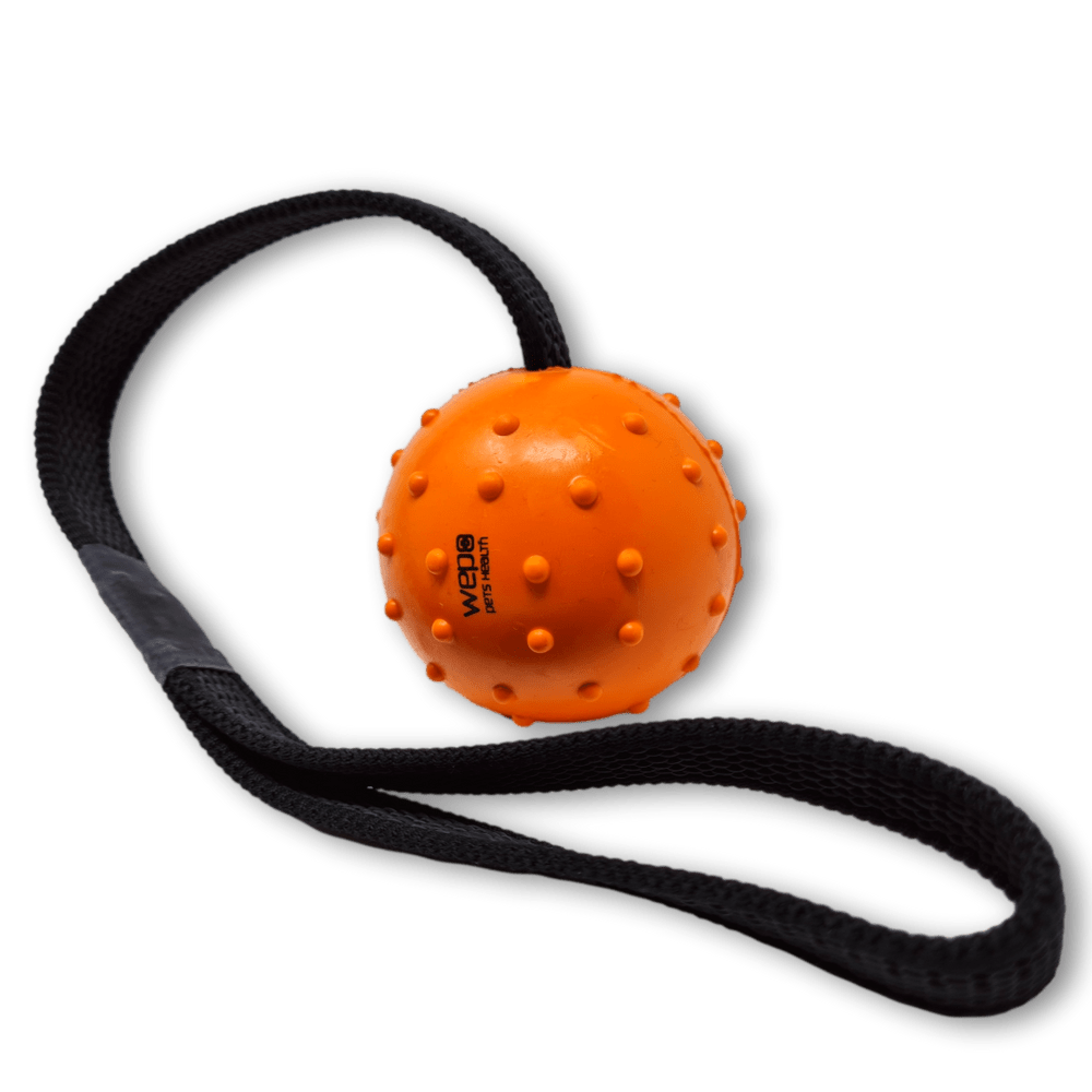 Image of Ball With Rope - Dog Toys - - For Dogs - Dog Toys For Large Dogs - Rubber Ball For Dogs To Throw And Catch In The Garden - With Function