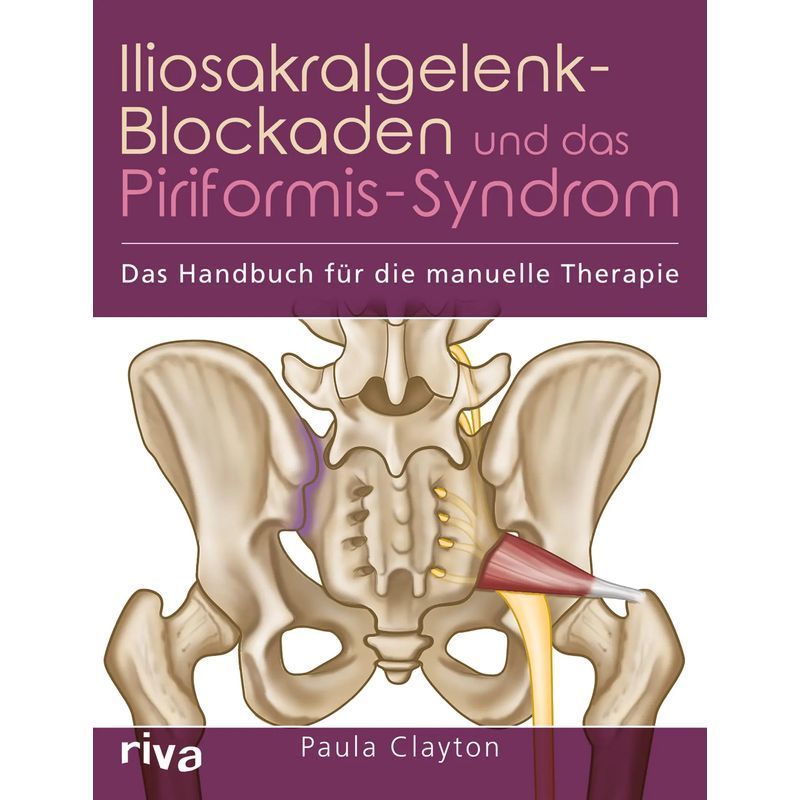 Image of Iliosacral Joint Blockages And Piriformis Syndrome - Paperback - The Manual Therapy Handbook - Paula Clayton - 208 Pages - German - 2018 - Riva Verlag - Ean 9783742305015