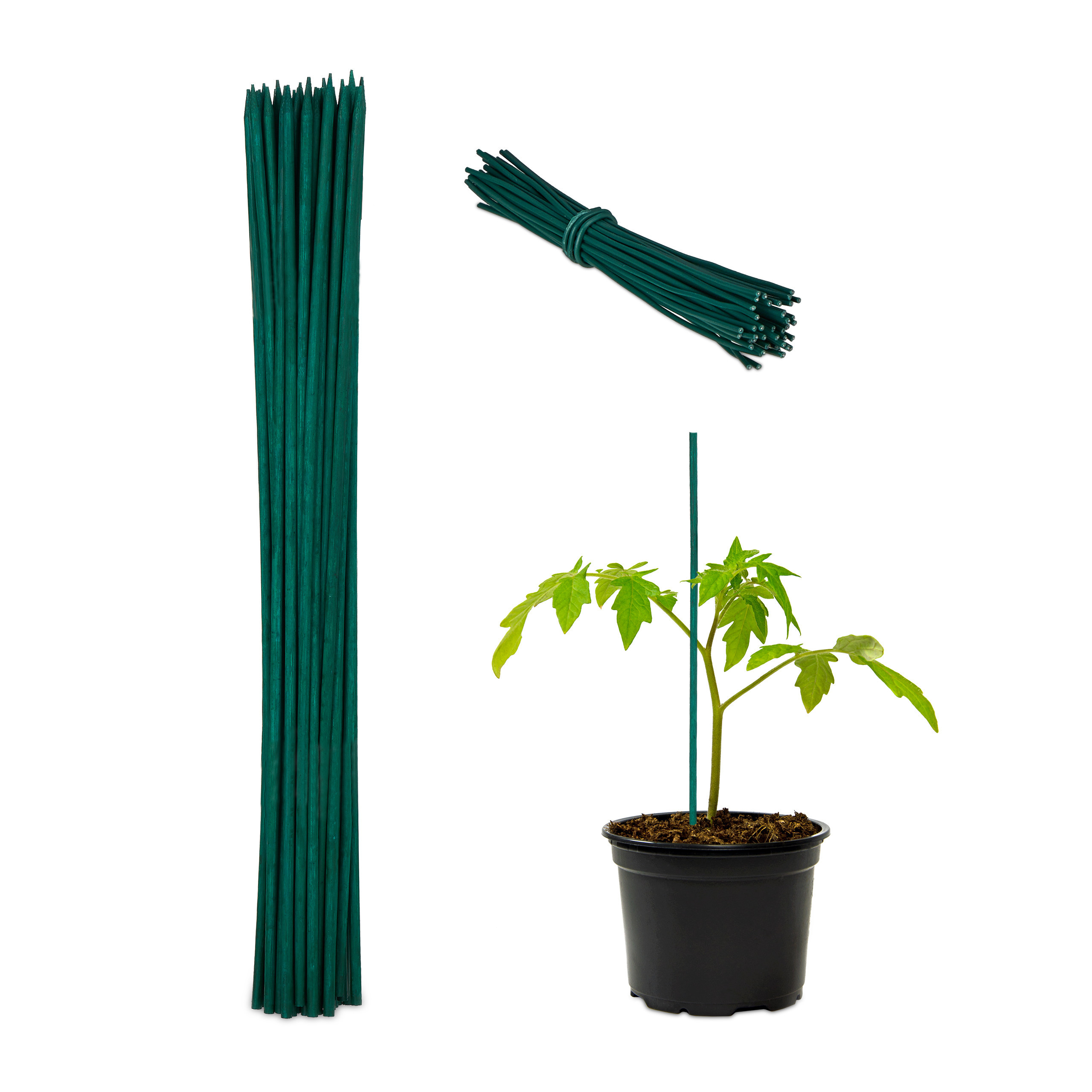 100 Plant Dark Green - (h)30 X (d)0.5 Cm
