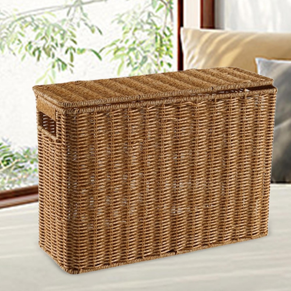 Narrow and Tall Woven Storage Box for Newspapers & Magazines
