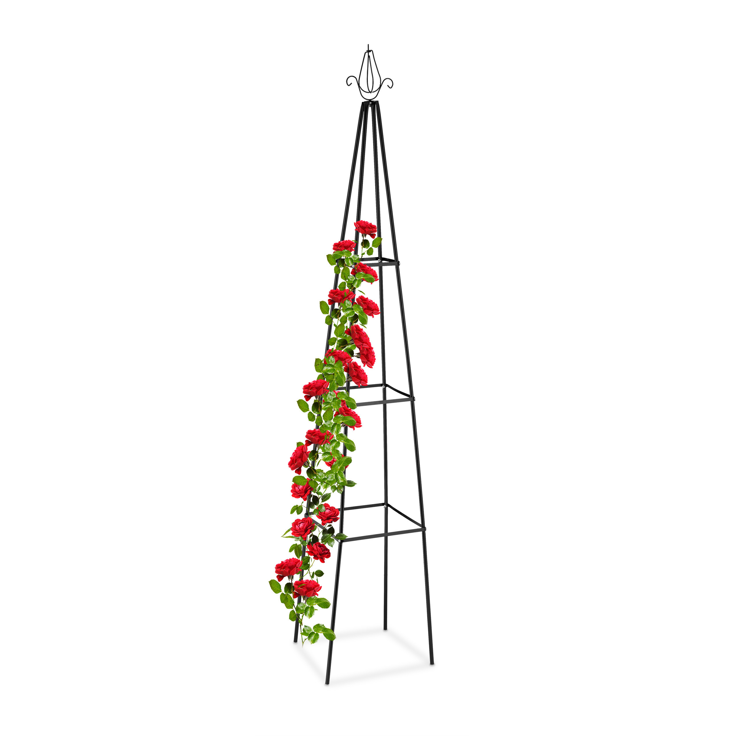 Black Plant Support - (h)204 Cm